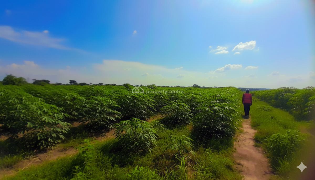 Acres of Farm Land, Ajebo Community, Obafemi Owode, Ogun, Land for Sale