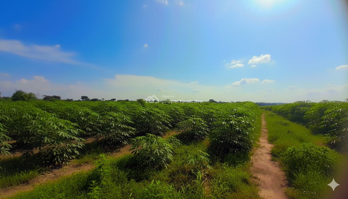 Acres of Farm Land, Ajebo Community, Obafemi Owode, Ogun, Land for Sale