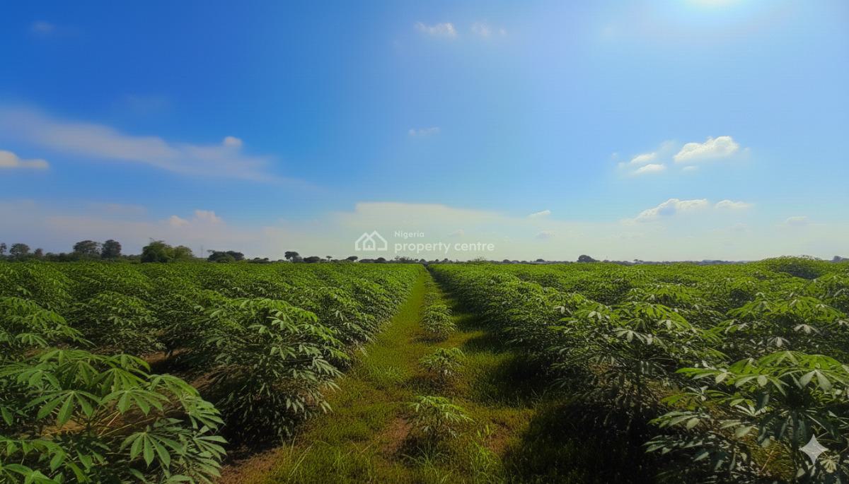 Acres of Farm Land, Ajebo Community, Obafemi Owode, Ogun, Land for Sale