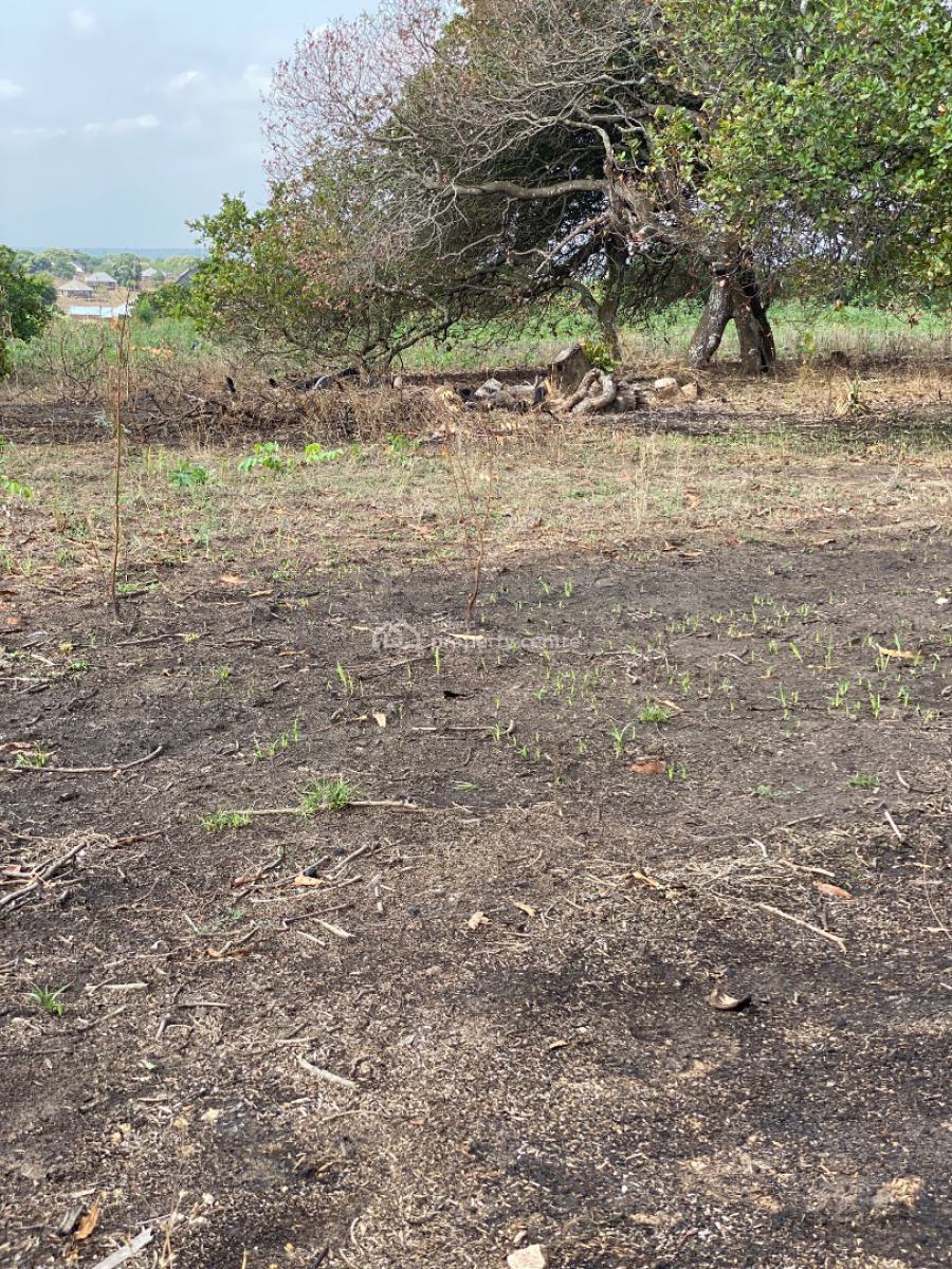 Profession Gate Diaspora Estate, Aaje Ologo, Ogbomoso, Ogbomosho North, Oyo, Residential Land for Sale