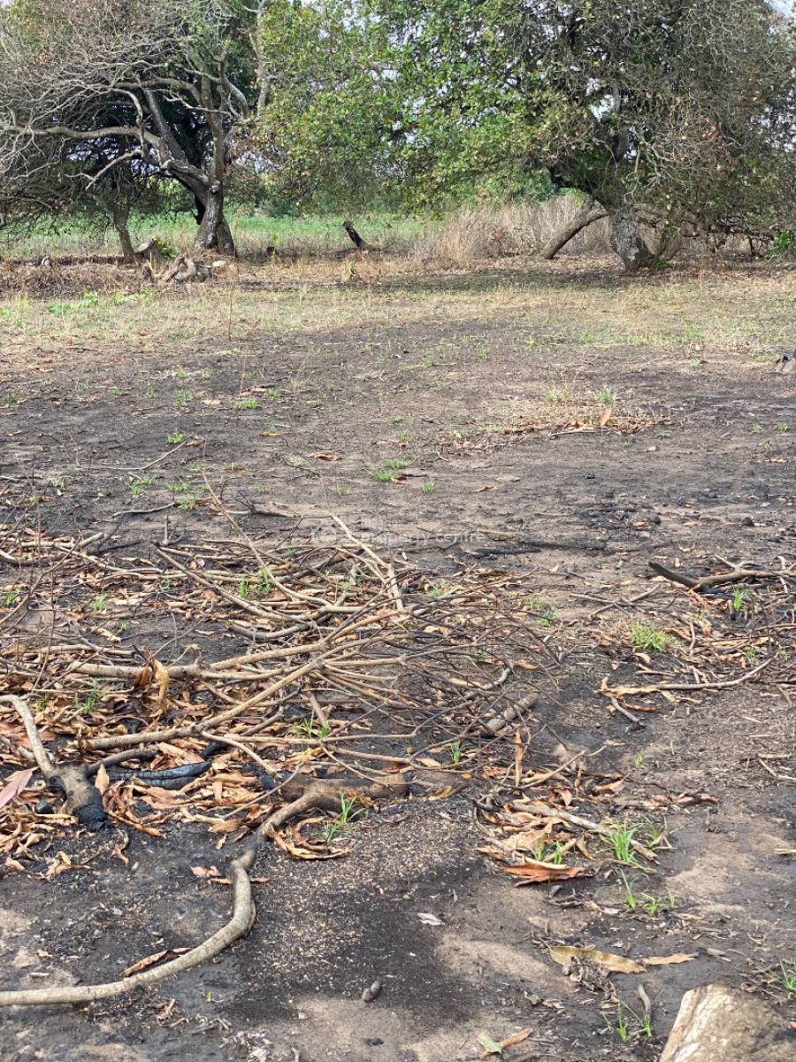 Profession Gate Diaspora Estate, Aaje Ologo, Ogbomoso, Ogbomosho North, Oyo, Residential Land for Sale