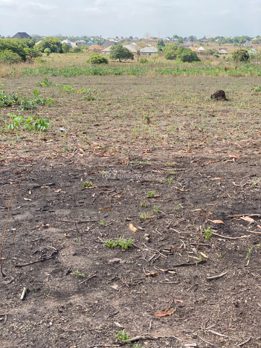 Profession Gate Diaspora Estate, Aaje Ologo, Ogbomoso, Ogbomosho North, Oyo, Residential Land for Sale