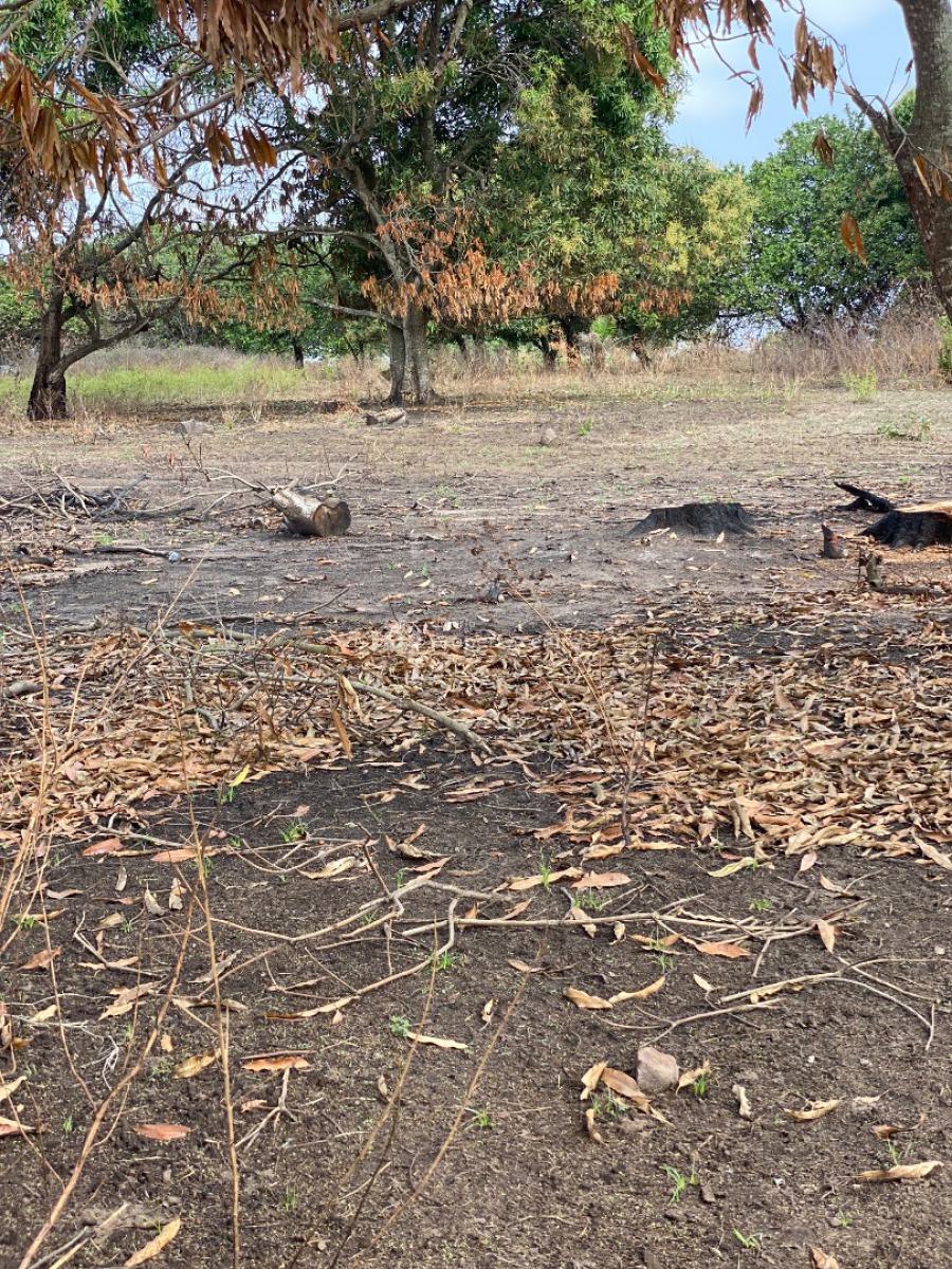 Profession Gate Diaspora Estate, Aaje Ologo, Ogbomoso, Ogbomosho North, Oyo, Residential Land for Sale