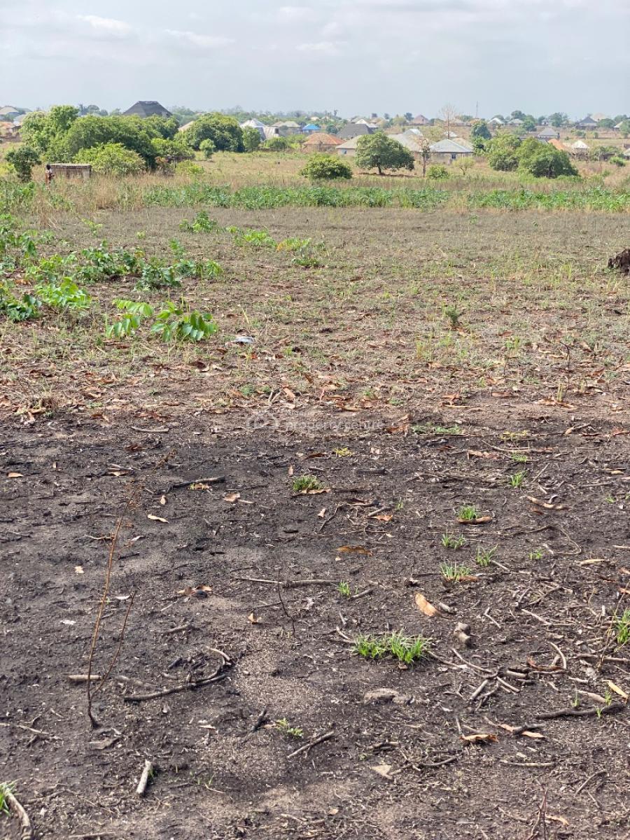Profession Gate Diaspora Estate, Aaje Ologo, Ogbomoso, Ogbomosho North, Oyo, Residential Land for Sale