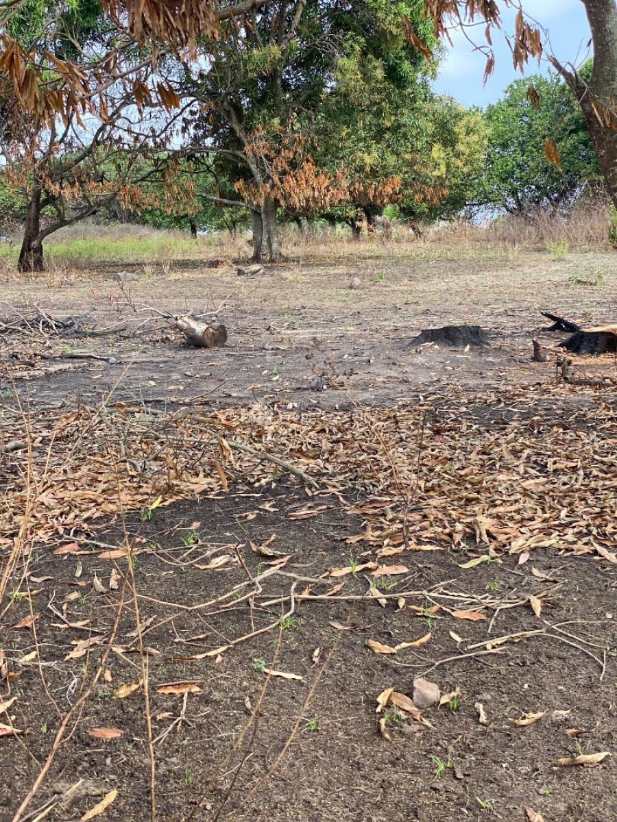 Profession Gate Diaspora Estate, Aaje Ologo, Ogbomoso, Ogbomosho North, Oyo, Residential Land for Sale