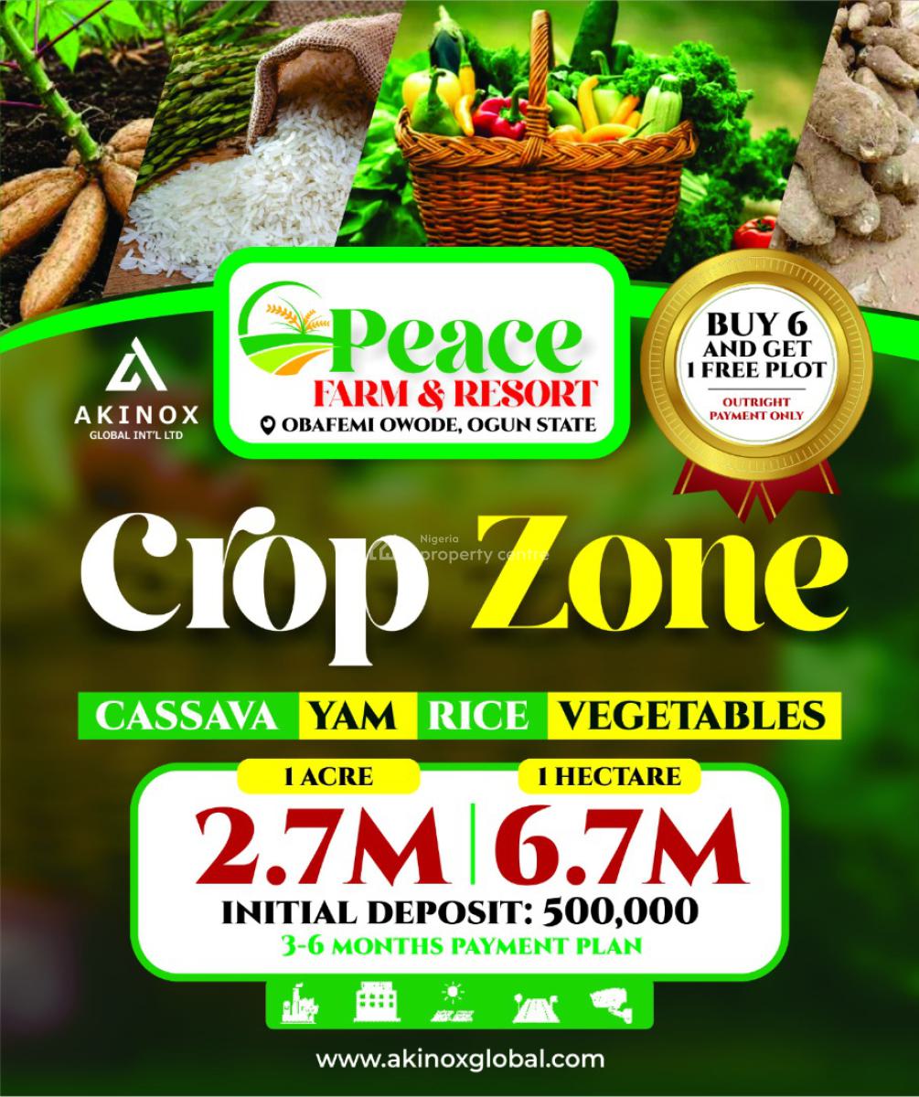 Peace Farm and Resort( 6 Plots)1 Arce, Cash Crop, Obafemi Owode, Ogun, Commercial Land for Sale