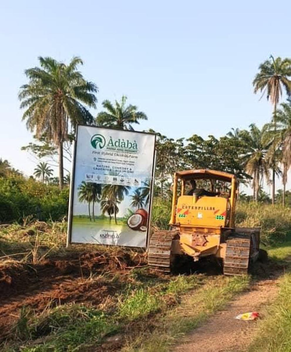 1 Acre Coconut Farm Land, Owode, Obafemi Owode, Ogun, Commercial Land for Sale