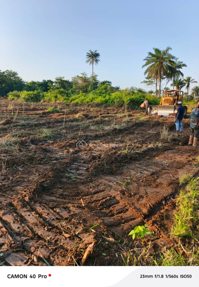 1 Acre Coconut Farm Land, Owode, Obafemi Owode, Ogun, Commercial Land for Sale