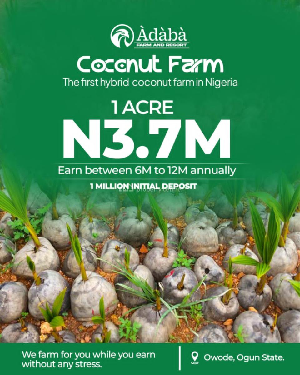 1 Acre Coconut Farm Land, Owode, Obafemi Owode, Ogun, Commercial Land for Sale
