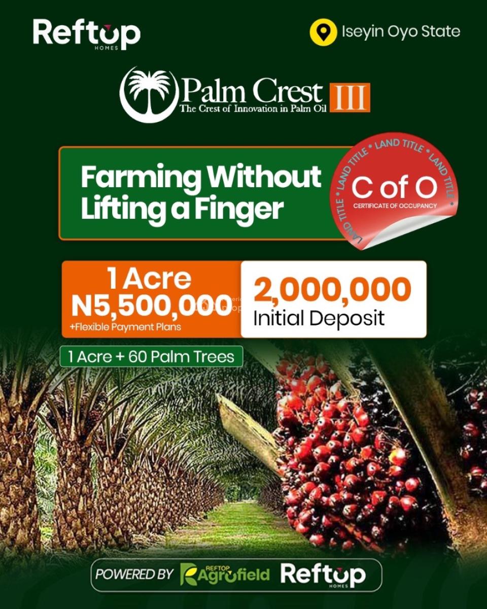 1 Acre of Palm Oil Farm Land, Iseyin, Ibadan, Oyo, Commercial Land for Sale