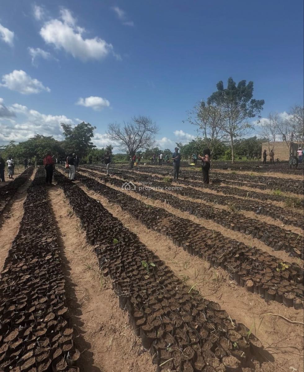 Most Affordable Farmland with No Hidden Extra Fees, Own an Acre of Land Suitable for Oil Palm , Start with a Deposit, Imeko Afon, Ogun, Mixed-use Land for Sale