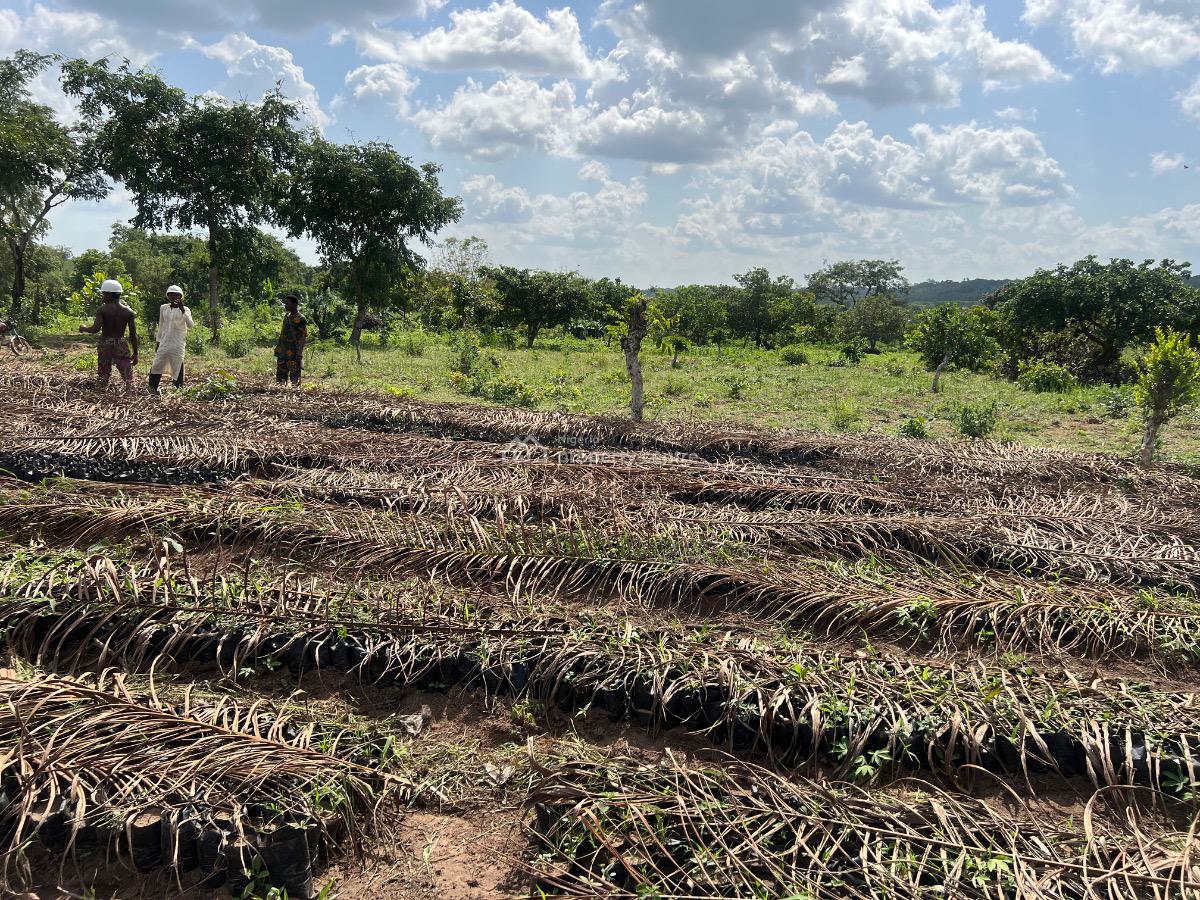 Most Affordable Farmland with No Hidden Extra Fees, Own an Acre of Land Suitable for Oil Palm , Start with a Deposit, Imeko Afon, Ogun, Mixed-use Land for Sale