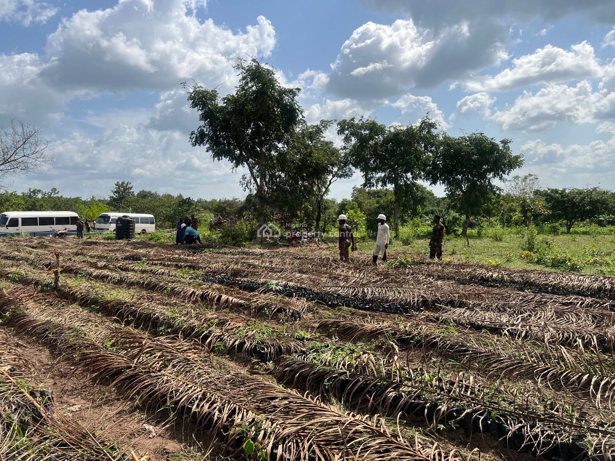 Affordable Hectare of Farmland Suitable for Oil Palm with No Extra Fee, Earn Massively From Oil Palm , Be a Part with an Initial Deposit, Imeko Afon, Ogun, Mixed-use Land for Sale