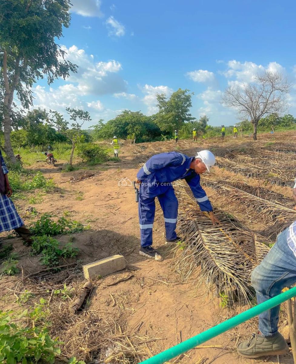 Affordable Hectare of Farmland Suitable for Oil Palm with No Extra Fee, Earn Massively From Oil Palm , Be a Part with an Initial Deposit, Imeko Afon, Ogun, Mixed-use Land for Sale