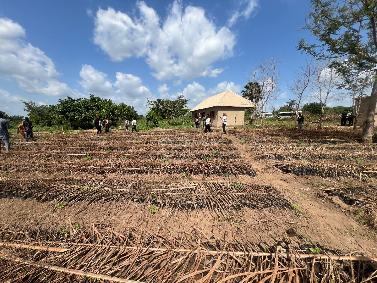 Earn Massively From Agriculture ,own a Farmland Suitable for Oil Palm, All Inclusive Offer , No Hidden Fees, Off Abeokuta-imeko Express Way, Abeokuta North, Ogun, Mixed-use Land for Sale