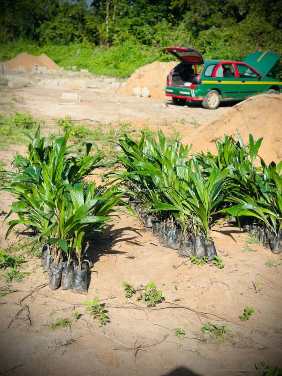 Own a Fertile Farmland with a Payment Plan Suitable for Several Crops, Off Alabata , with  Access to Funaab. Flexible Payment Plan Available, Abeokuta North, Ogun, Mixed-use Land for Sale