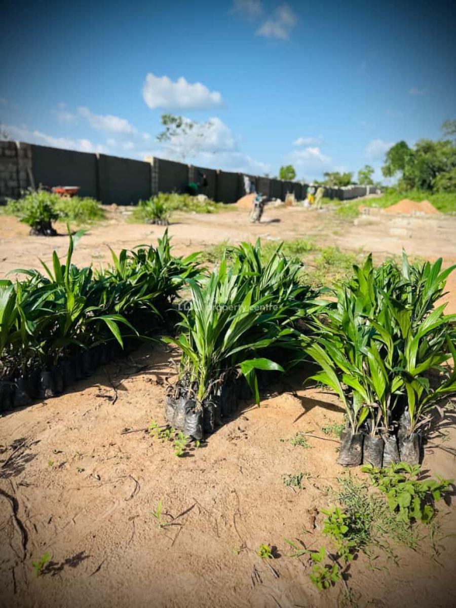 Own Hectares of Fertile Farmland ,earn From  Cocoa , Oil Palm, Cassava, Earn Steady Income Without Getting Your Hands Dirty, Abeokuta North, Ogun, Mixed-use Land for Sale