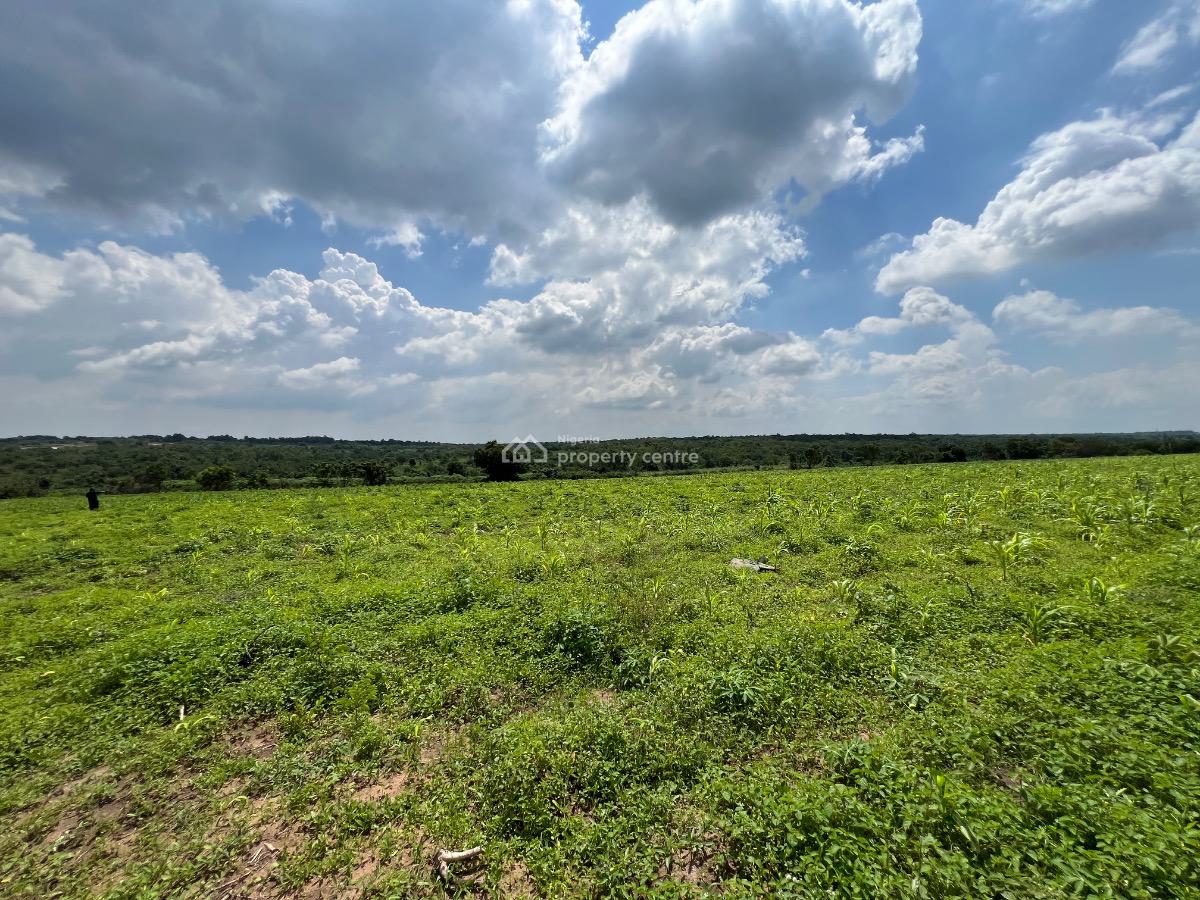 5 Acres of Plaintain & Cocoa Farmland with Access to Lafenwa Market, Close to Lafenwa Market , Crescent University & Lots More, Abeokuta North, Ogun, Mixed-use Land for Sale