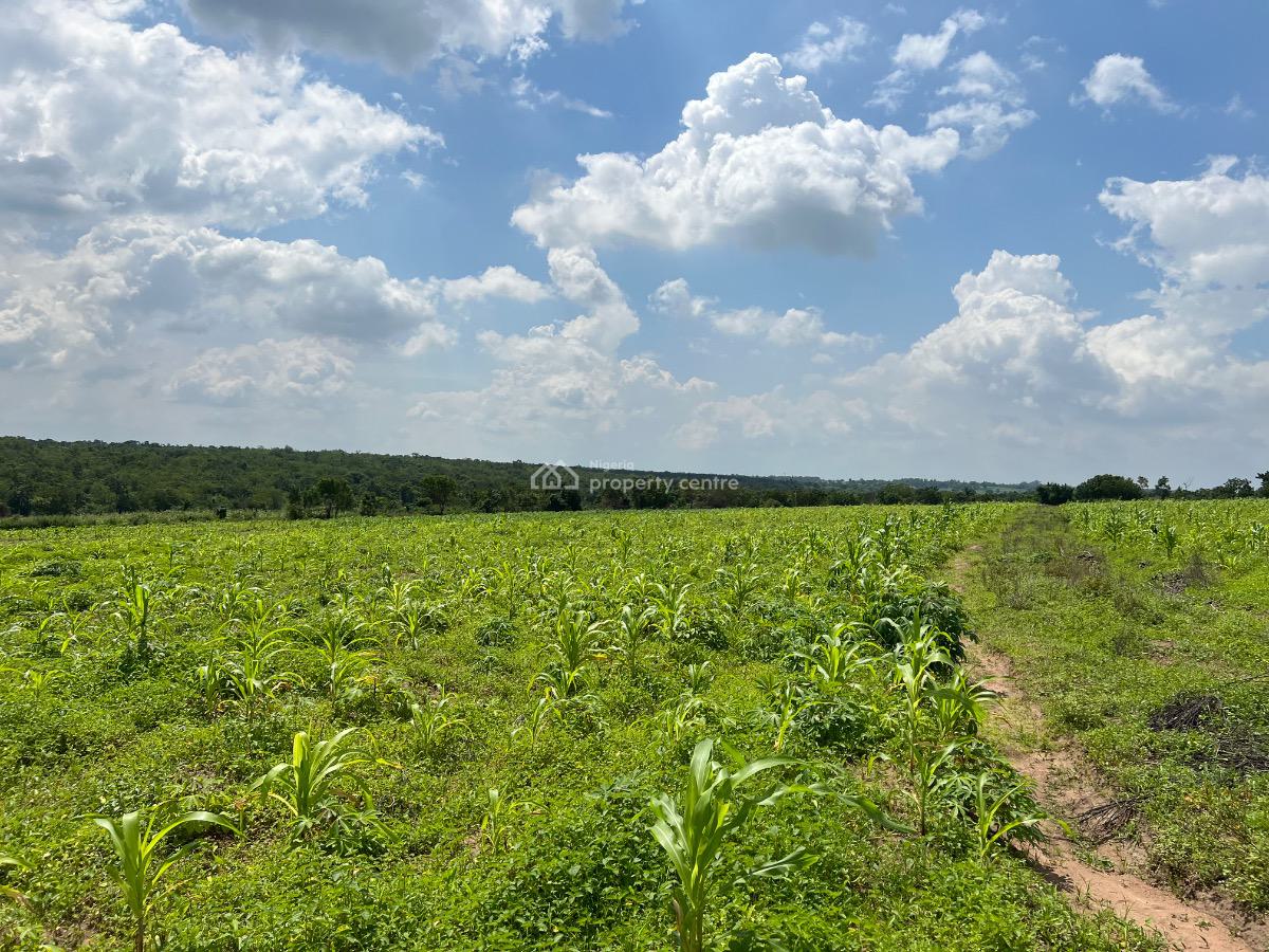 5 Acres of Plaintain & Cocoa Farmland with Access to Lafenwa Market, Close to Lafenwa Market , Crescent University & Lots More, Abeokuta North, Ogun, Mixed-use Land for Sale