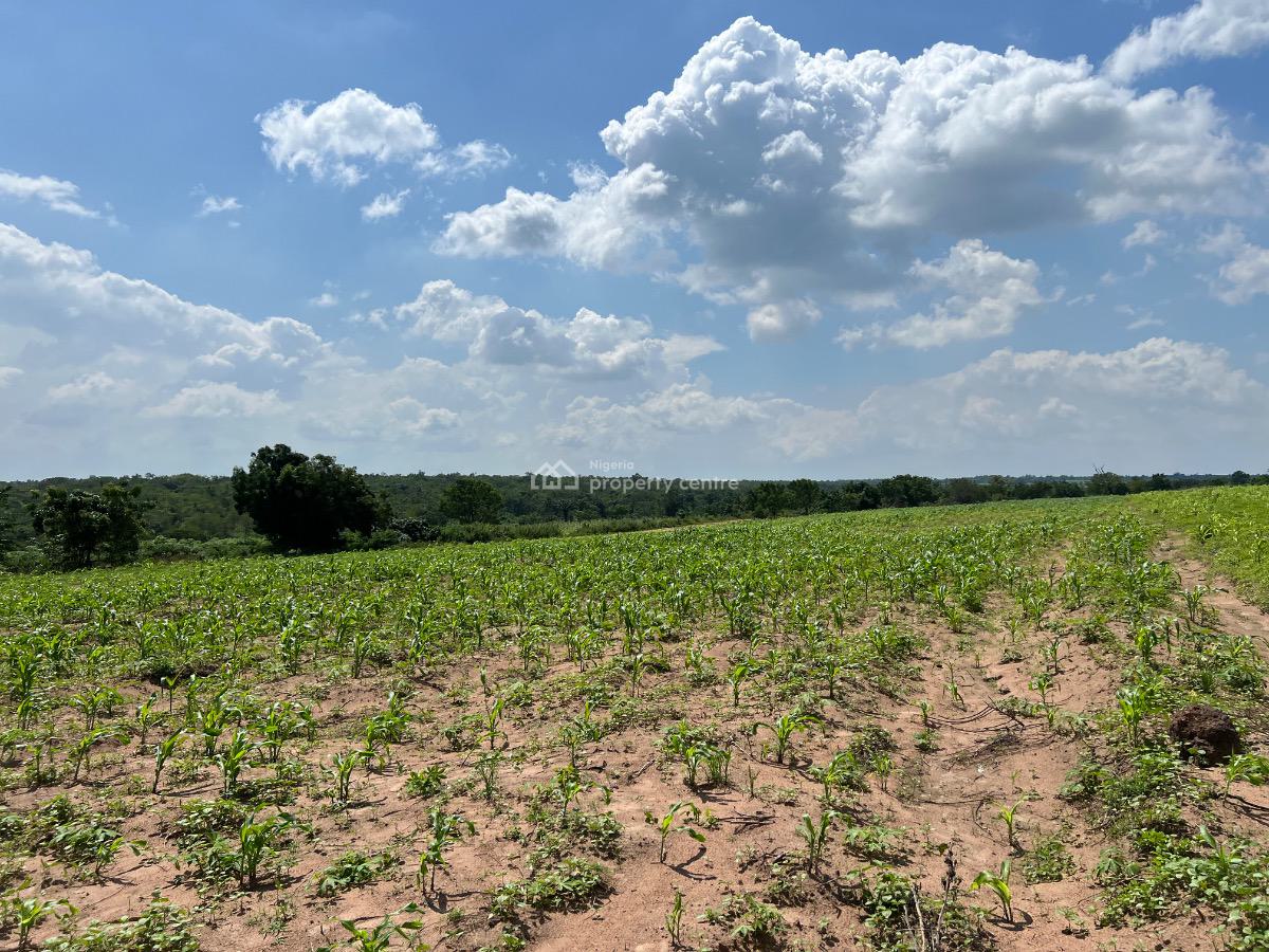 5 Acres of Plaintain & Cocoa Farmland with Access to Lafenwa Market, Close to Lafenwa Market , Crescent University & Lots More, Abeokuta North, Ogun, Mixed-use Land for Sale