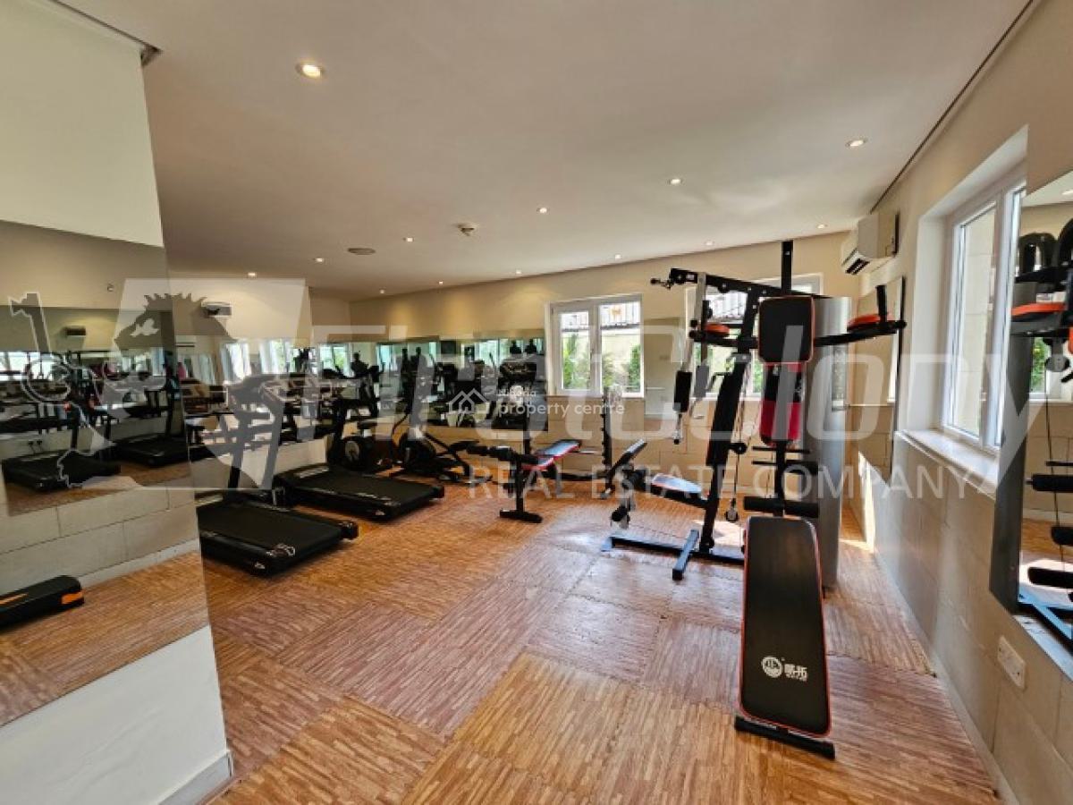 Newly Furnished 3 Bedroom Luxury Apartment with Excellent Facilities, Old Ikoyi, Ikoyi, Lagos, Flat / Apartment for Rent