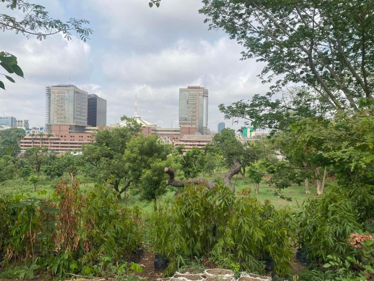 Commercial Land, Constitution Avenue, Central Business District, Abuja, Commercial Land for Sale