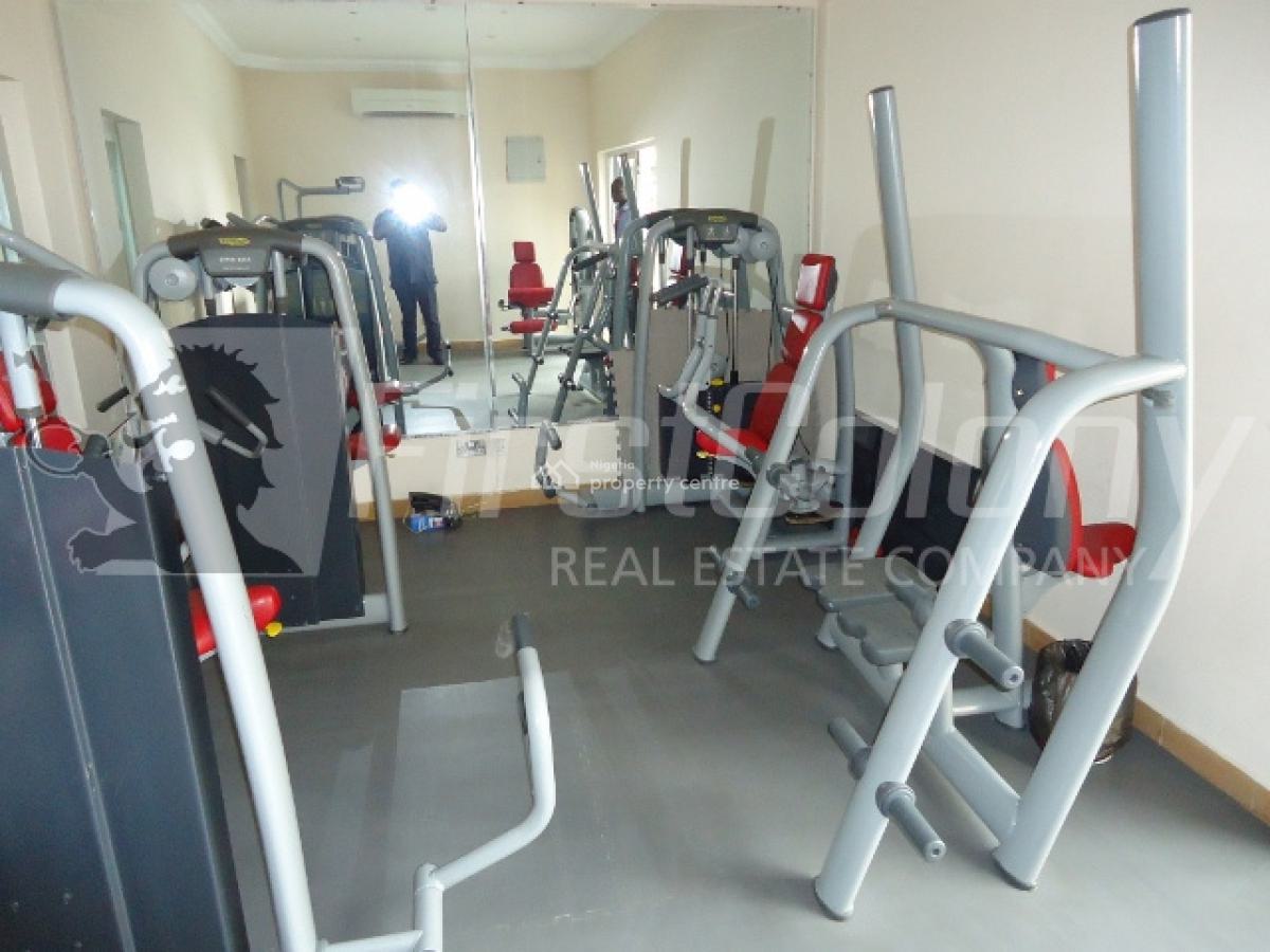 Luxury 3 Bedroom Terraced Duplex with Excellent Facilities, Old Ikoyi, Ikoyi, Lagos, Terraced Duplex for Rent