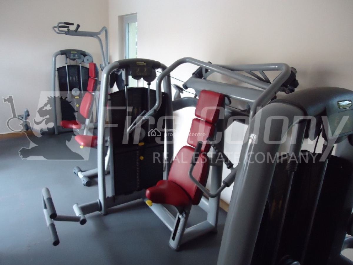 Luxury 3 Bedroom Terraced Duplex with Excellent Facilities, Old Ikoyi, Ikoyi, Lagos, Terraced Duplex for Rent