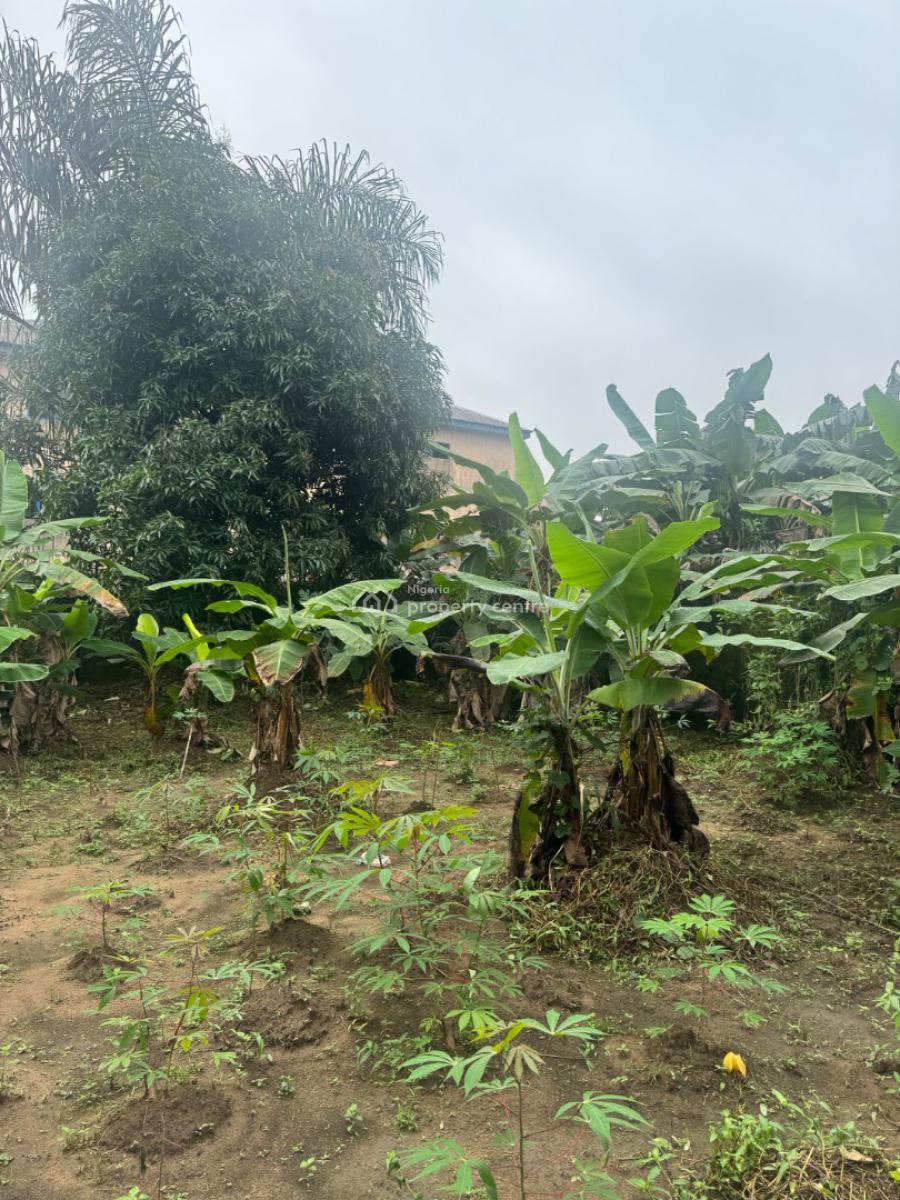 Fenced and Gated One Plot of Land, Atali Farm Estate, Port Harcourt, Rivers, Residential Land for Sale