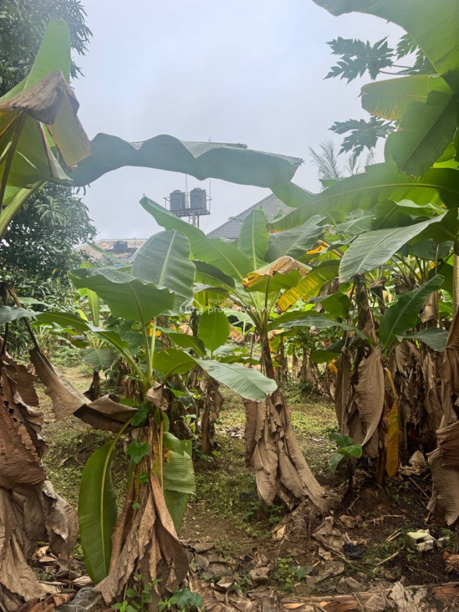 Fenced and Gated One Plot of Land, Atali Farm Estate, Port Harcourt, Rivers, Residential Land for Sale