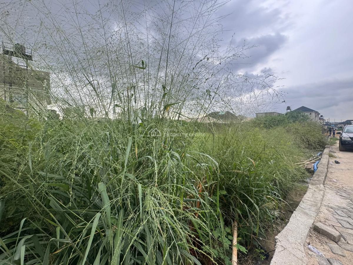Bareland Measuring 648sqm, Maryland, Lagos, Residential Land for Sale