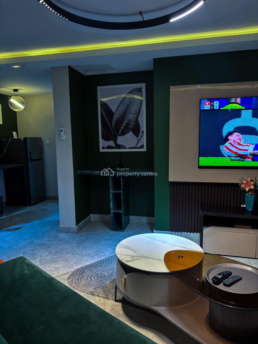 Newly Built 1 Bedroom Apartment, Lekki Phase 1, Lekki, Lagos, Mini Flat (room and Parlour) for Rent