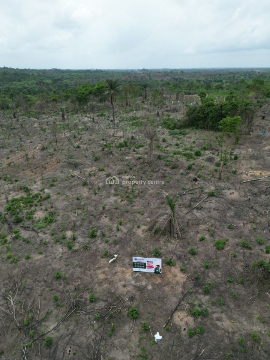 Most Sort After Affordable Farmland, Buy in Acres, Abeokuta South, Ogun, Mixed-use Land for Sale