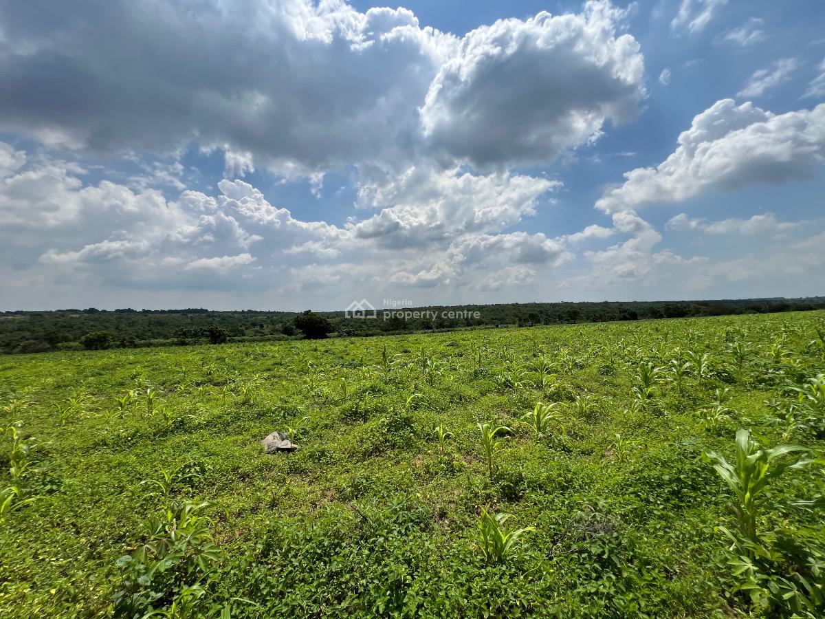 Plan Your Retirement with Annual Cash Flows From Agriculture, Ofuape Village, Abeokuta North, Ogun, Mixed-use Land for Sale