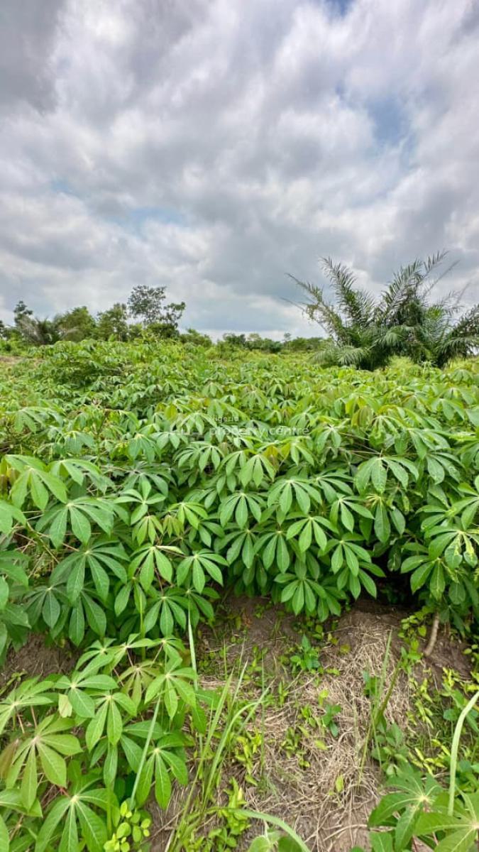 Own Hectares of Fertile Farm Land, Earn From Cocoa, Oil Palm, Cassava, Abeokuta North, Ogun, Mixed-use Land for Sale