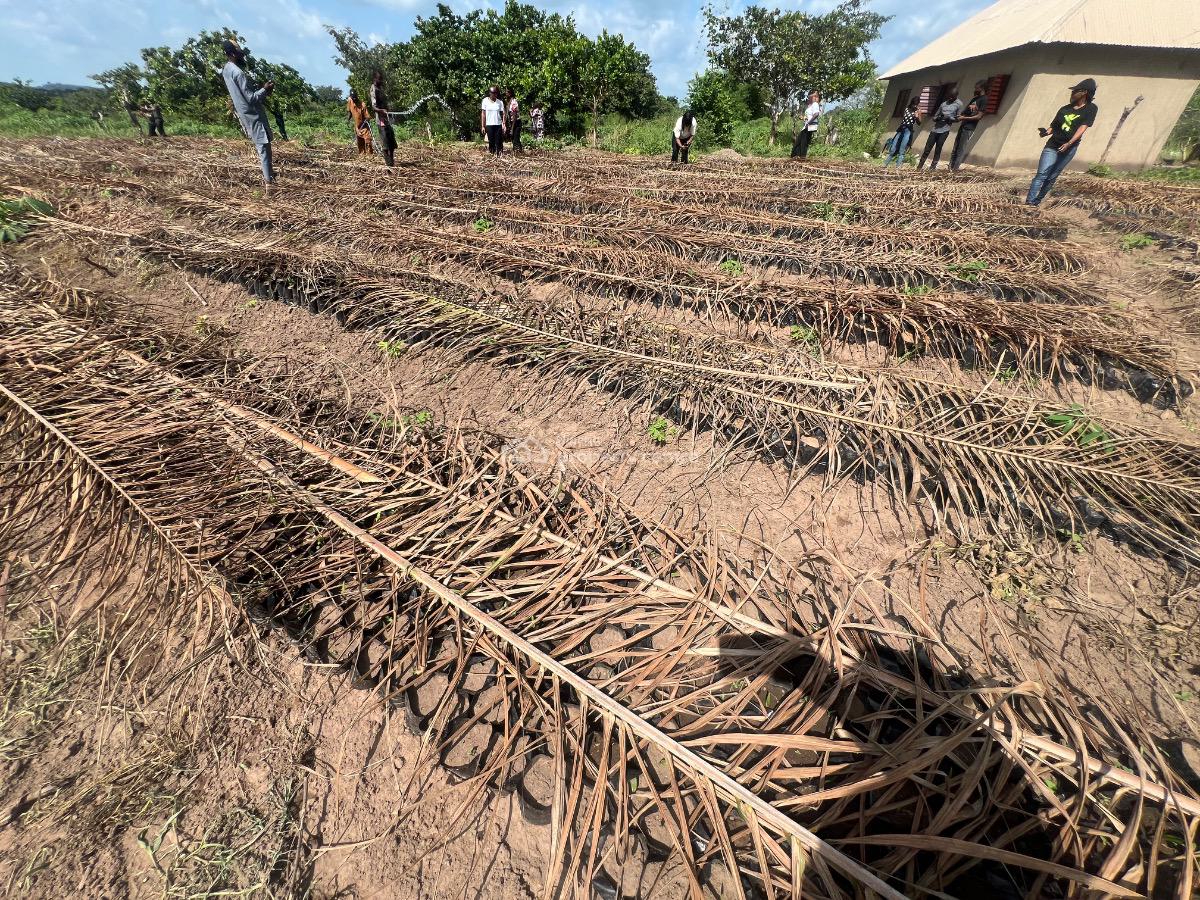 Own a Piece of  Thriving Palm Oil Industry!, Imeko Afon, Ogun, Mixed-use Land for Sale