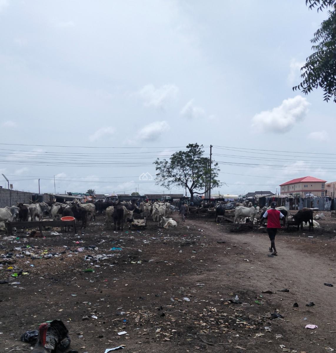 Commercial Land Facing a Major Road, Abraham Adesanya, Lekki Expressway, Lekki, Lagos, Commercial Land for Sale