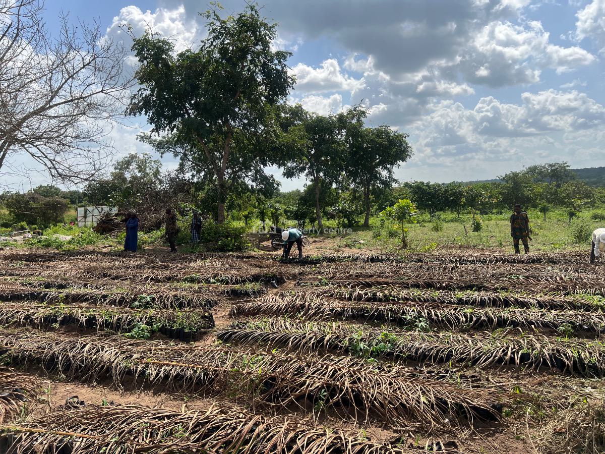 Most Affordable Farmland with No Hidden Extra Fees, Imeko Afon, Ogun, Mixed-use Land for Sale