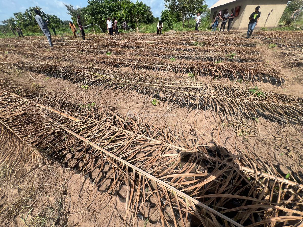 Most Affordable Farmland with No Hidden Extra Fees, Imeko Afon, Ogun, Mixed-use Land for Sale