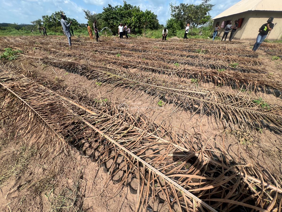 Most Affordable Farmland with No Hidden Extra Fees, Imeko Afon, Ogun, Mixed-use Land for Sale