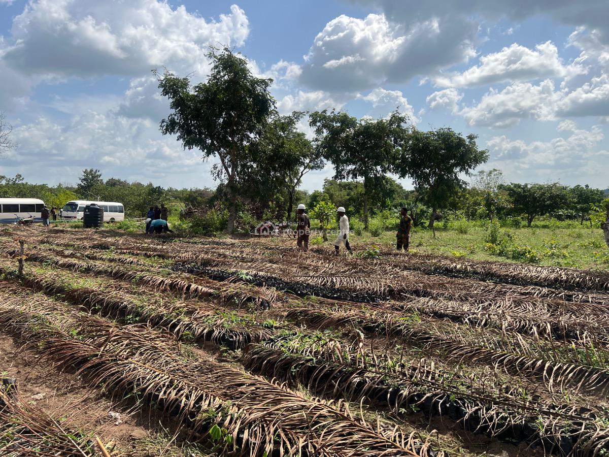 Most Affordable Farmland with No Hidden Extra Fees, Imeko Afon, Ogun, Mixed-use Land for Sale