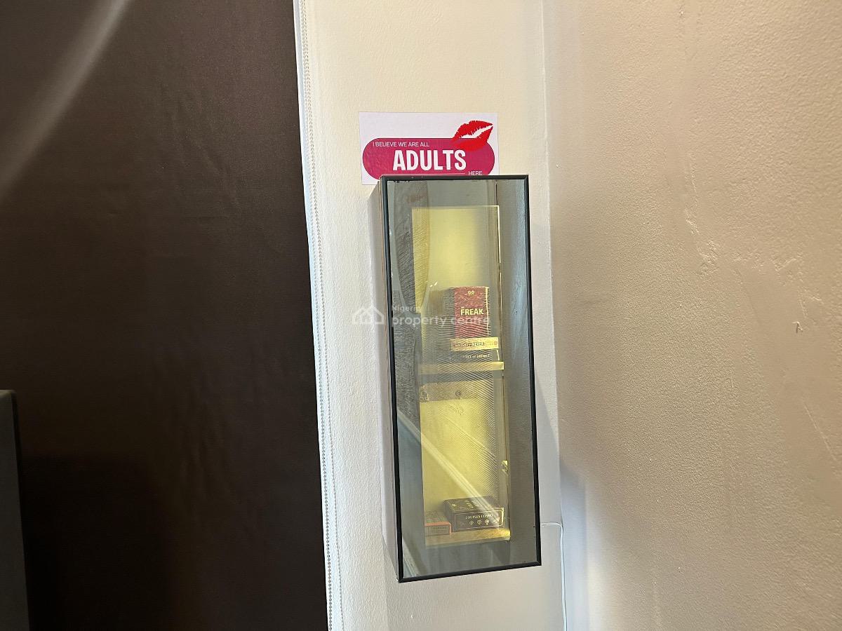 Sophisticated 2 Bedroom Apartment with Premium Features, Sophisticated 2 Bedroom Apartment with Premium Features, Lekki Phase 1, Lekki, Lagos, Flat / Apartment Short Let