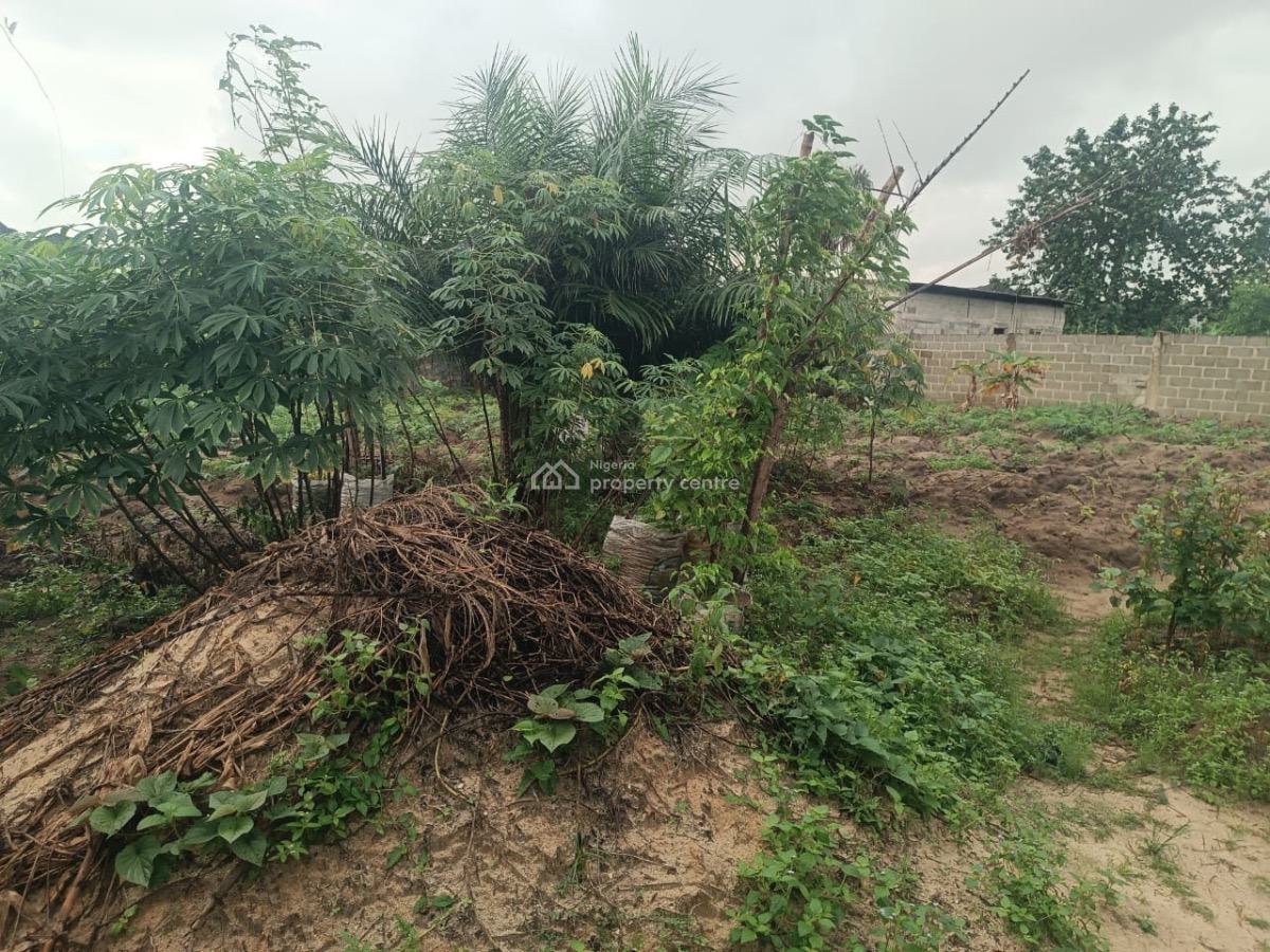 a Plot of Dryland Measuring 650sqm, Ogogoro, Lekki Expressway, Lekki, Lagos, Residential Land for Sale