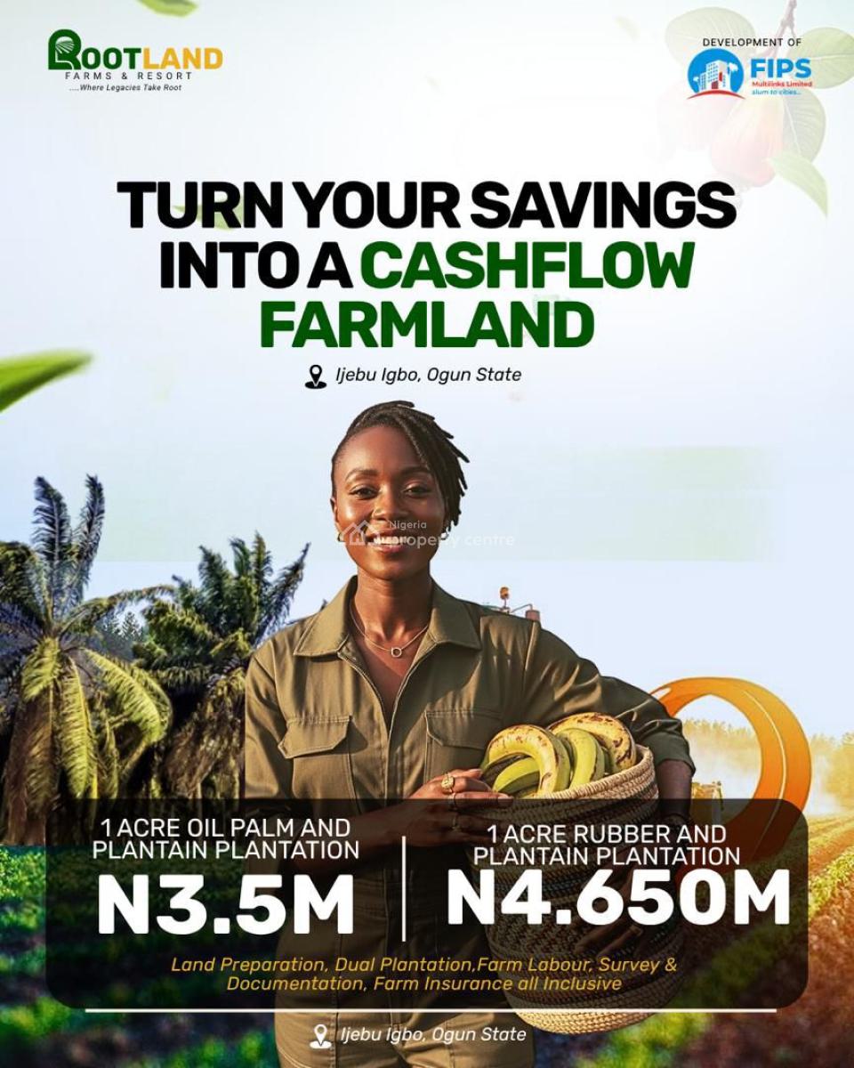 Palm Trees and Plantain Trees Farmland, Ijebu Igbo, Km 46, Ogun, Land for Sale