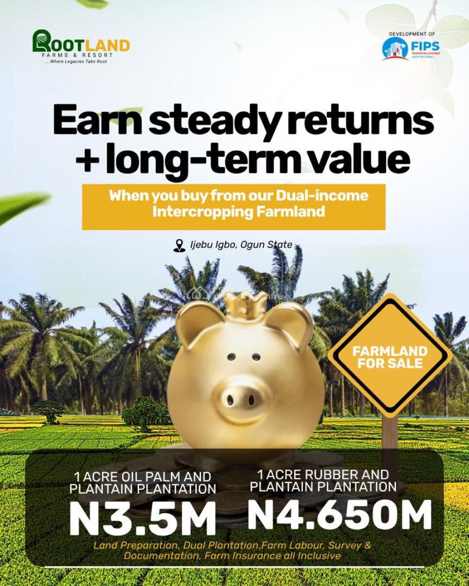 Palm Trees and Plantain Trees Farmland, Ijebu Igbo, Km 46, Ogun, Land for Sale