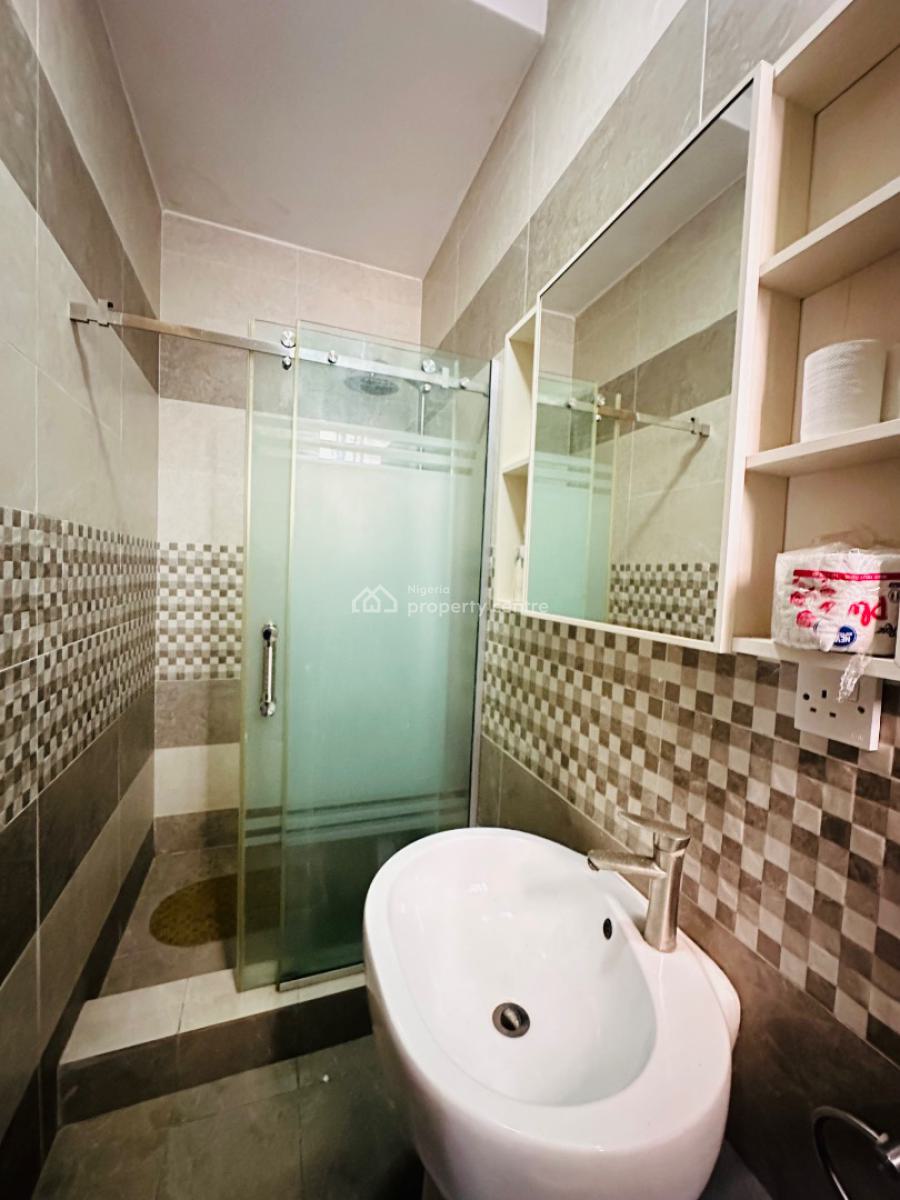 Fully Furnished 2 Bedroom Apartment, Ikate, Lekki, Lagos, Flat / Apartment for Rent
