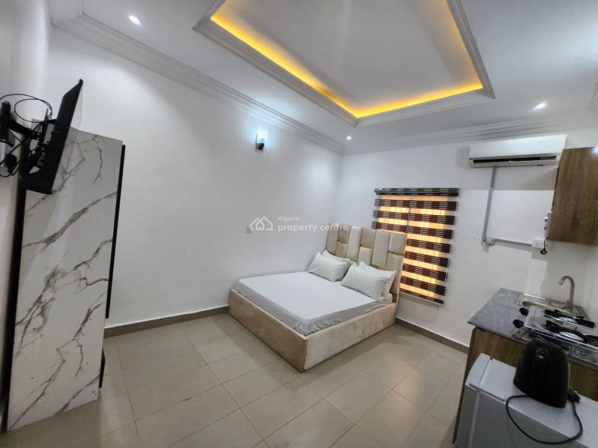 Luxury Brand New Furnished Four Bedrooms with Bq, Jabi, Abuja, Semi-detached Duplex for Rent