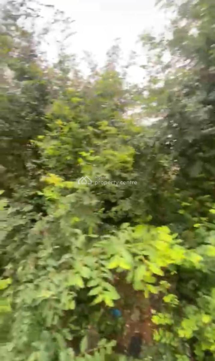 Chevron Fenced Bareland, Chevron, Lekki, Lagos, Residential Land for Sale