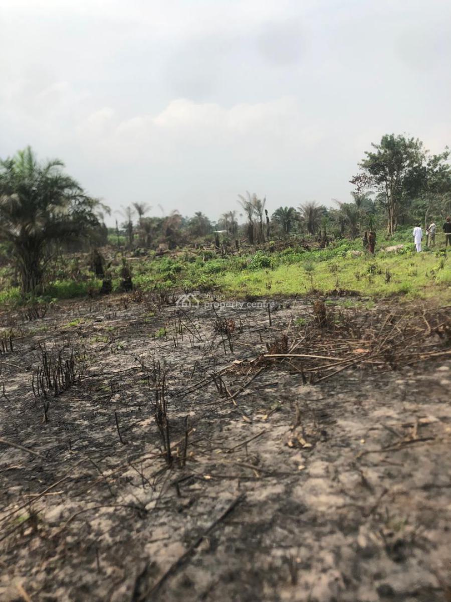 50 Virgin Mixed Use Plots, Monastery Rd, Sangotedo, Ajah, Lagos, Mixed-use Land for Sale