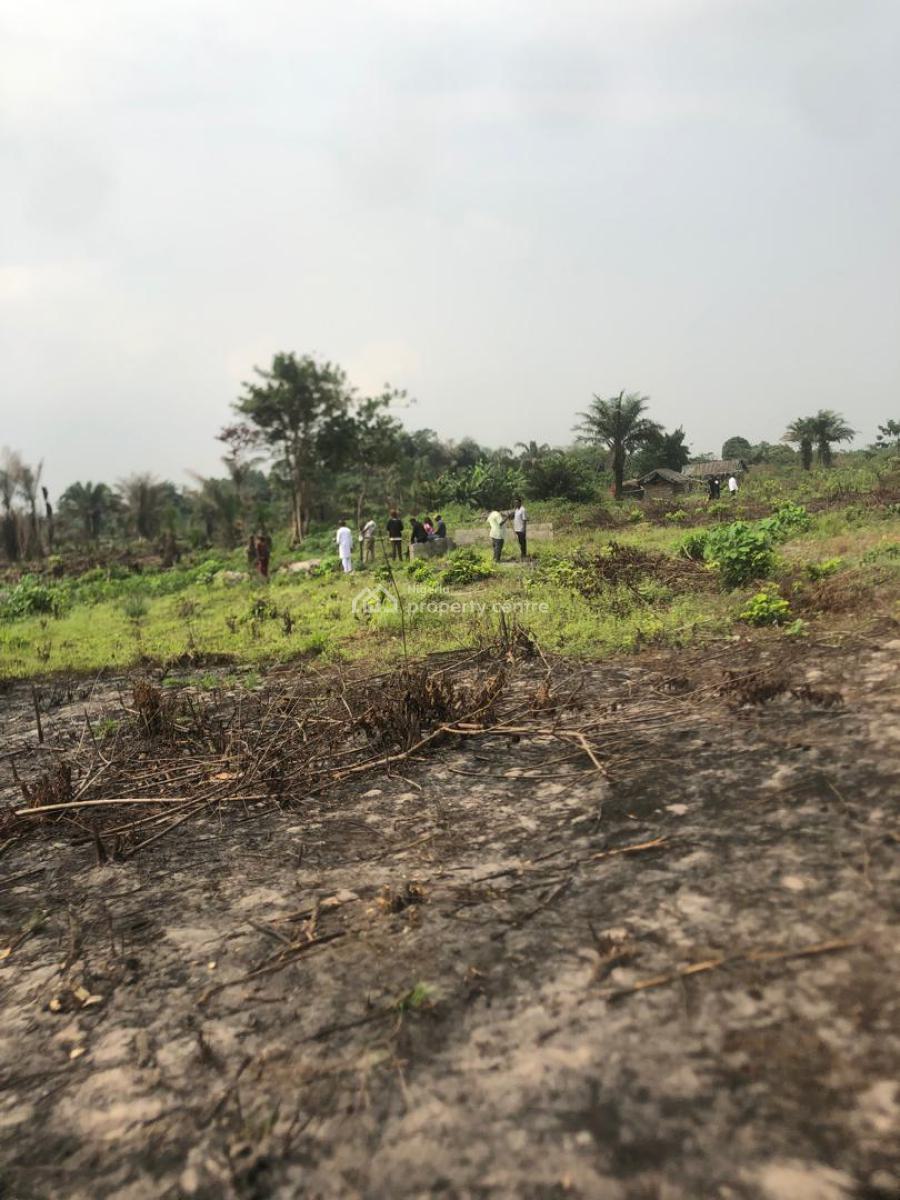 50 Virgin Mixed Use Plots, Monastery Rd, Sangotedo, Ajah, Lagos, Mixed-use Land for Sale